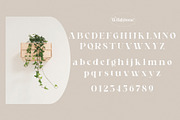 Wildstone - Ligature Serif Typeface, a Serif Font by BrandSemut (Thumbnail 8 of 10)