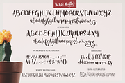 White Nights + Extras, a Script Font by Larin Type Co. (Thumbnail 8 of 9)