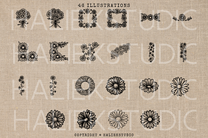 Daisy SVG Illustrations