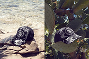 Yupoong 6089M Snapback Summer Mockup, a Hat Mockup by creatsy5 (Thumbnail 7 of 9)
