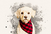 Pet Watercolor Effect Photoshop, an Action Add-On by liptouse (Thumbnail 6 of 10)