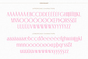BD Croissant | 7 weights, a Serif Font by Brandear Design (Thumbnail 15 of 16)
