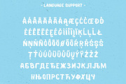 Balmy Brush Font, a Font by BorisG (Thumbnail 9 of 10)