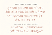Romance Dream - Hybrid Font, a Script Font by Silverdav (Thumbnail 12 of 14)