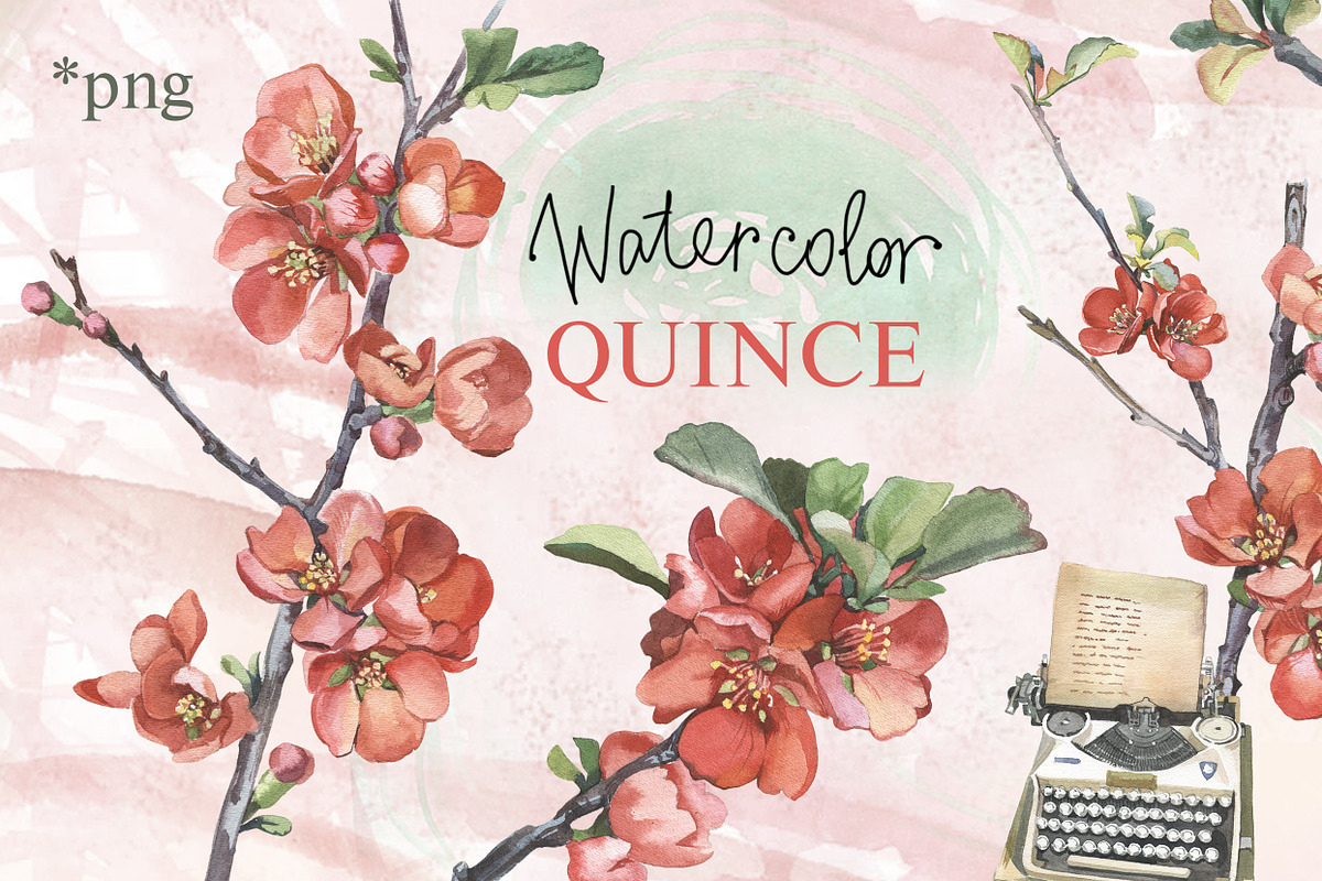 Watercolor collection of quince, a Decorative Illustration by My art shop (Photo 1 of 2)