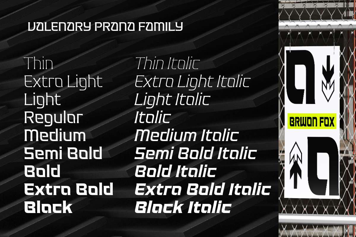 Valenary Prana, a Serif Font by Differentialtype (Photo 8 of 11)