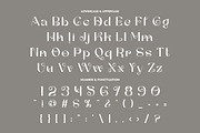 Grey Jewelry - Stylish Serif Font, a Serif Font by PutraCetol Studio (Thumbnail 9 of 11)