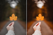 10 AUTUMN VIBES Lightroom Preset, a Preset Add-On by CCPreset (Thumbnail 6 of 6)