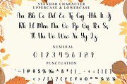 Beautiful Barbie, a Handwritten Font by InermediaSTUDIO (Thumbnail 6 of 8)