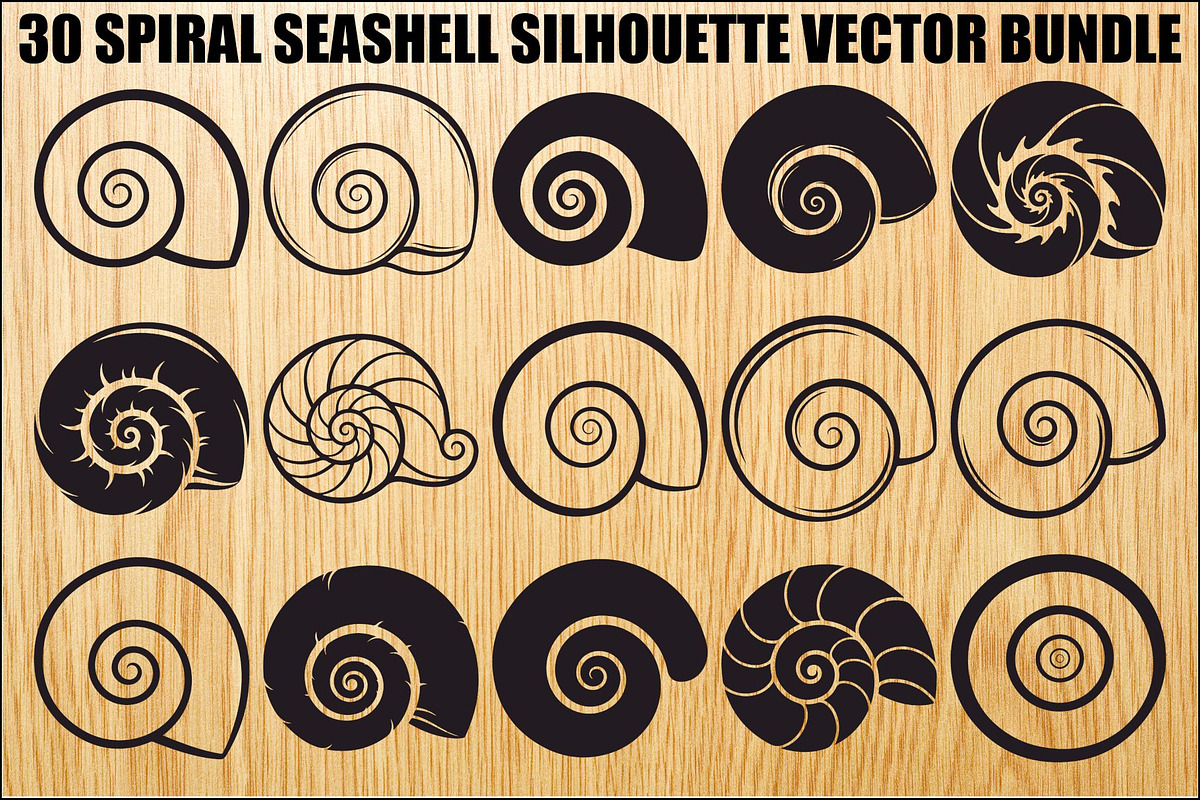 Spiral Seashell SVG Bundle, an Illustration by Gaye Art (Photo 1 of 31)