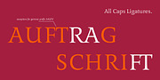 Benedikt, a Sans Serif Font by Finaltype (Thumbnail 16 of 20)