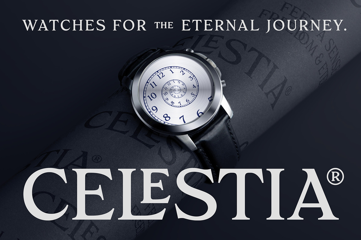 Paradisian Serif, a Serif Font by Dopestype (Photo 7 of 13)