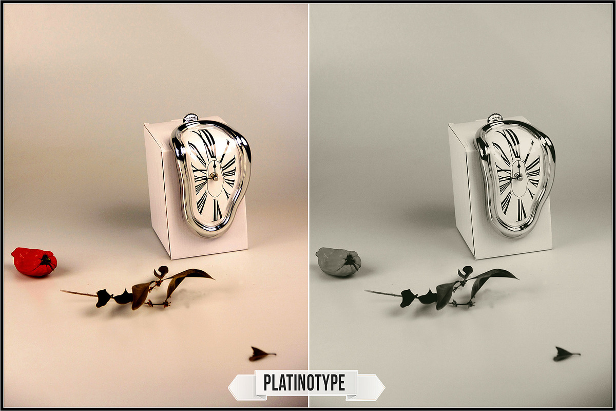 Platinum Palladium Prints LUTs, a Plug-in Add-On by Raztrend (Photo 3 of 32)