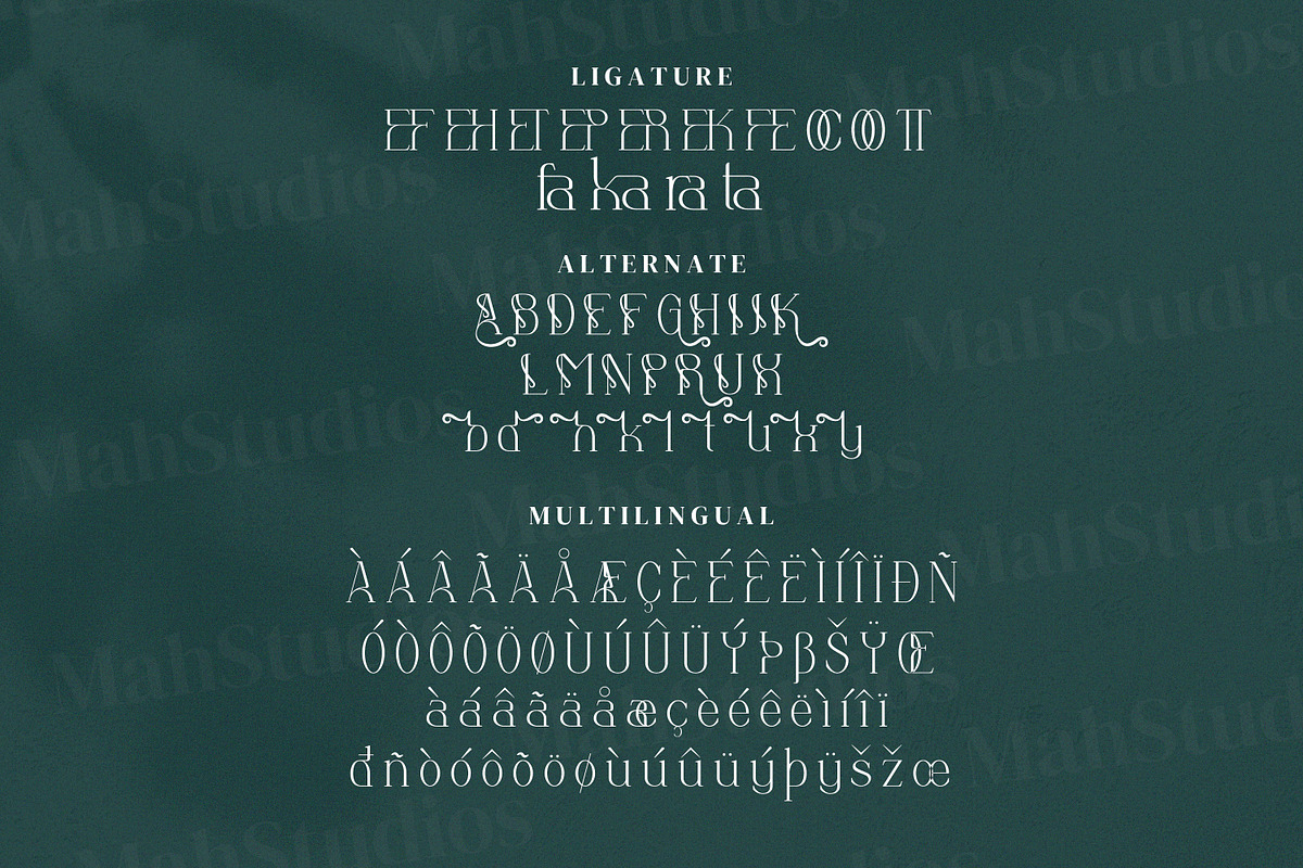 Anbittah Serif Fonts, a Serif Font by mahstudios (Photo 12 of 13)