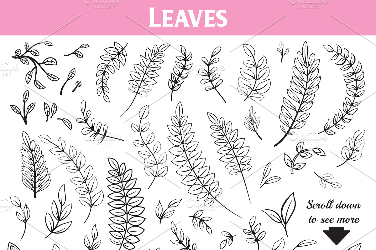Floral Doodles Collection, a Decorative Illustration by Elinorka (Photo 5 of 9)
