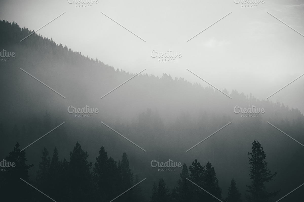 Photo Pack: Blue Forest Fog, a Nature Photo by Gradivis (Photo 3 of 4)