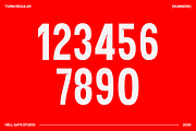 Turin Modern Sans Display, a Sans Serif Font by GRVS Studio (Thumbnail 4 of 14)