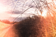 15 Light Leaks Presets, a Plug-in Add-On by cw_kennedy (Thumbnail 3 of 7)