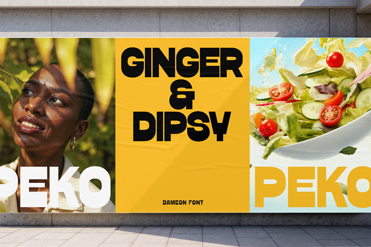 Dameon - Bold Reverse Contrast Font, a Sans Serif Font by Pekotype (Photo 12 of 16)