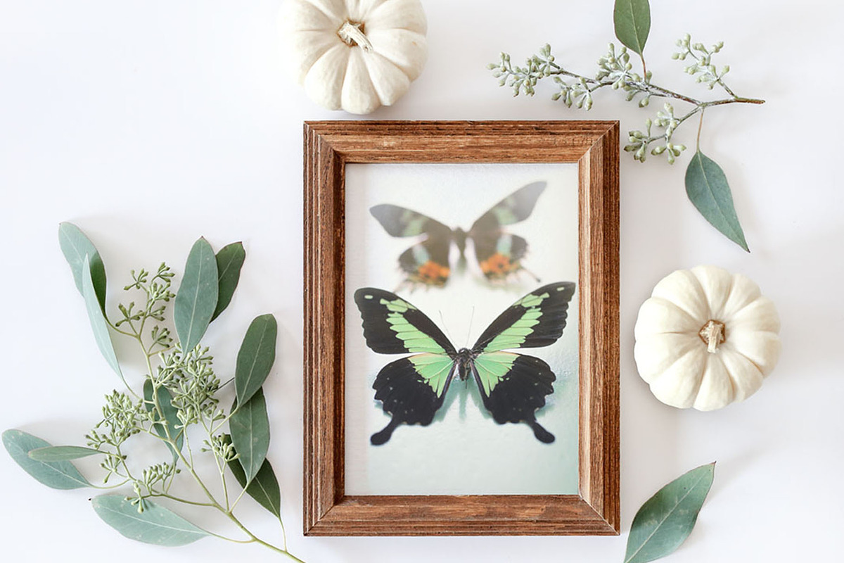 Fall Frame V1 Mock Up, a Print Template by SunnyTangerine Stock (Photo 2 of 2)
