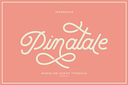 Pinatale Script, a Script Font by Nowpe Studio (Thumbnail 1 of 6)