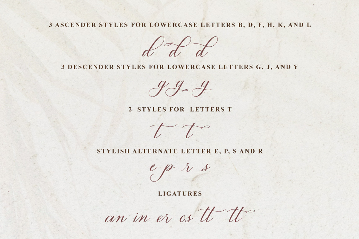 Gresilya Calligraphy Script Font, a Handwritten Font by Heinzel Std (Photo 10 of 10)