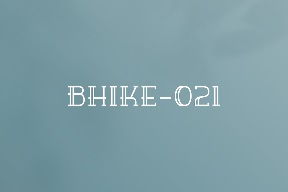 Libekre - Modern Luxury Typeface, a Sans Serif Font by Letterna (Photo 4 of 4)