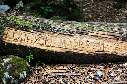 "Will You Marry Me?" Log