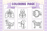 Veterinary Anatomy Coloring Book, an Education Illustration by HueNestify (Thumbnail 2 of 4)