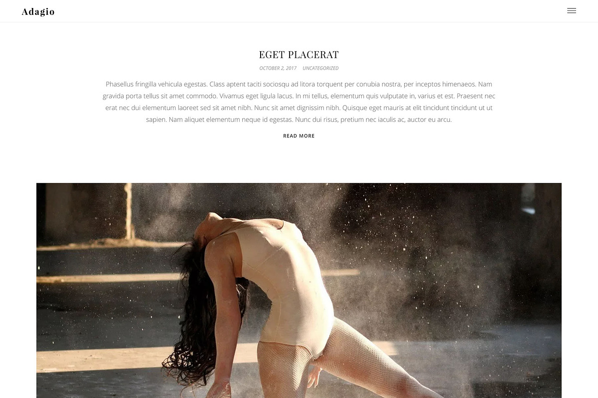 Adagio - Clean Portfolio Theme, a WordPress Template by Viva Themes (Photo 3 of 3)