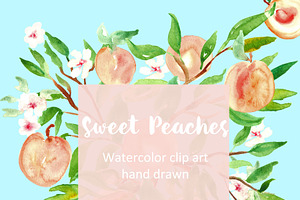 Peach. Watercolor Clip Art.