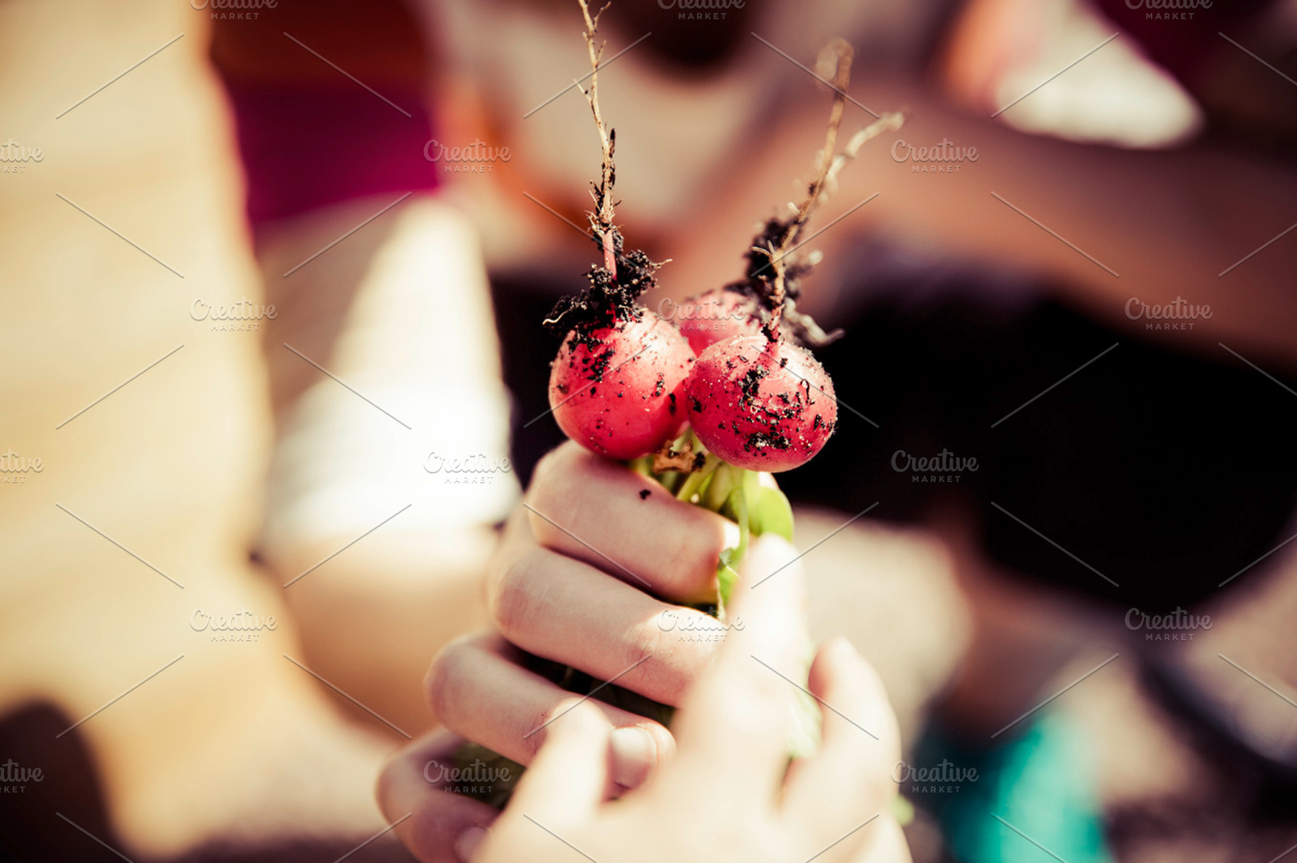 Urban Gardening Featuring Urban Garden And Urban Gardening