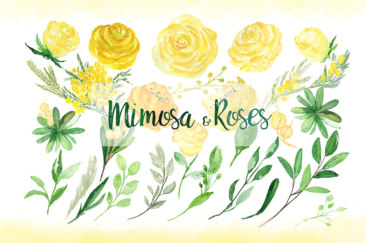 -50% Mimosa & roses flowers, an Illustration by LABFcreations (Photo 7 of 8)