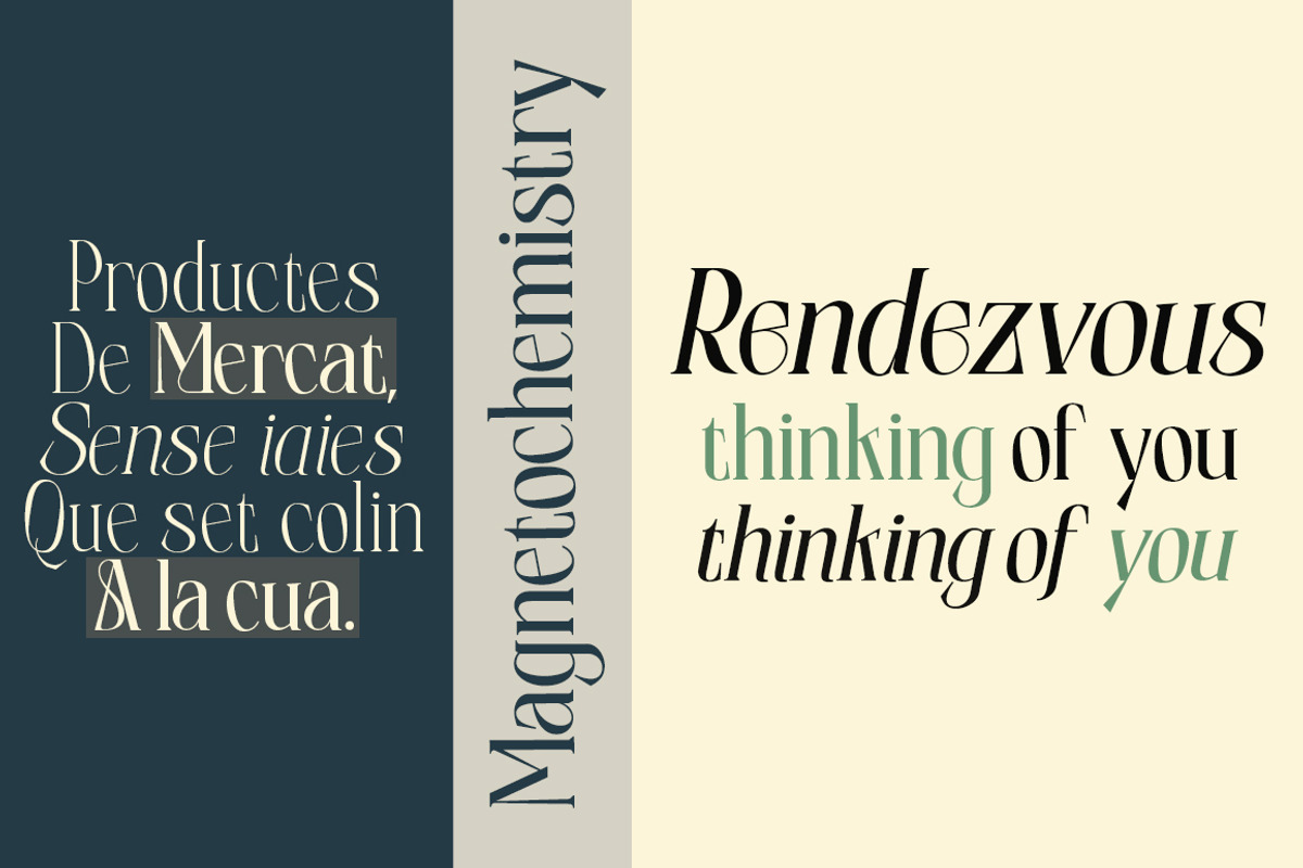 Elphadora Display Family, a Serif Font by Skypia (Photo 13 of 15)