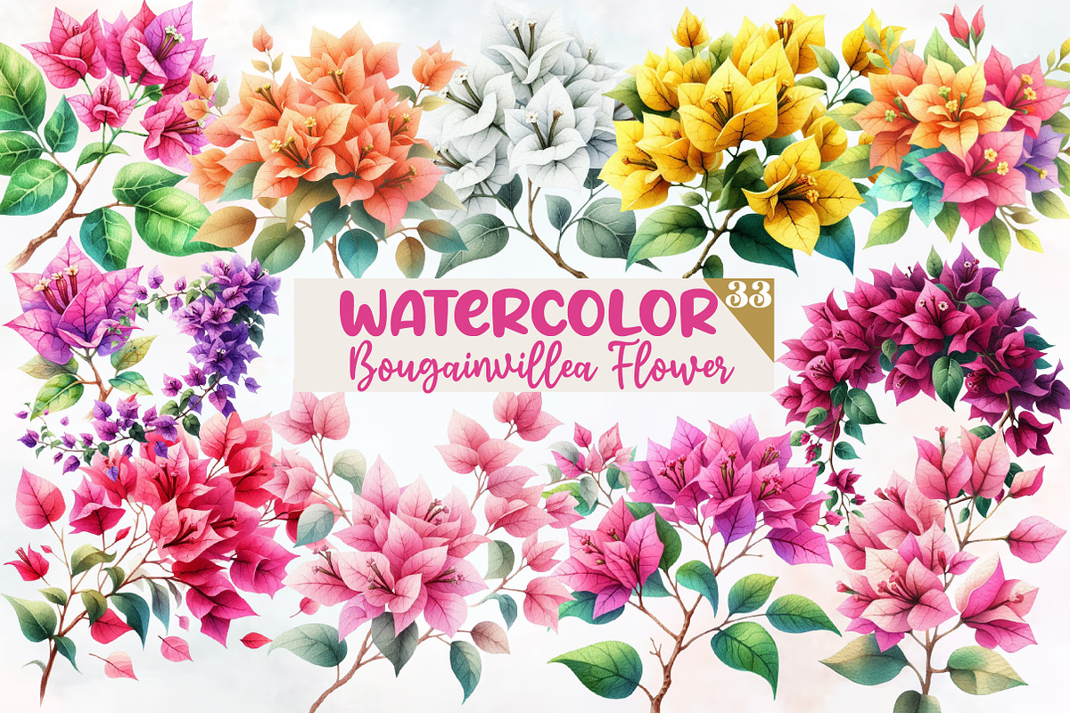 Bougainvillea Flower Clipart Bundle, an Illustration by Designworld (Photo 1 of 5)