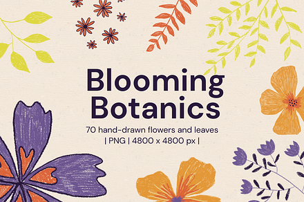 Blooming Botanics: flower graphics