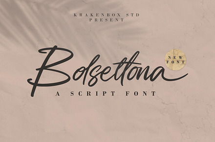Bolsettona - Script