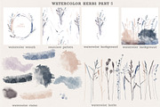 Watercolor herbs collection, a Decorative Illustration by Tatiana Davidova (Thumbnail 6 of 8)