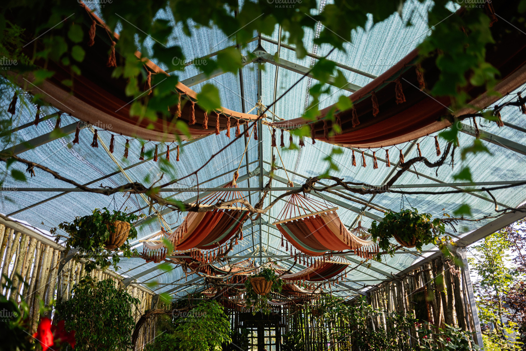 Decorative hammocks hanging in a lush greenhouse environment with abundant gree, a Photo by AS photostudio