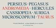 Vivala Marbod, a Serif Font by VivalaType (Thumbnail 6 of 13)