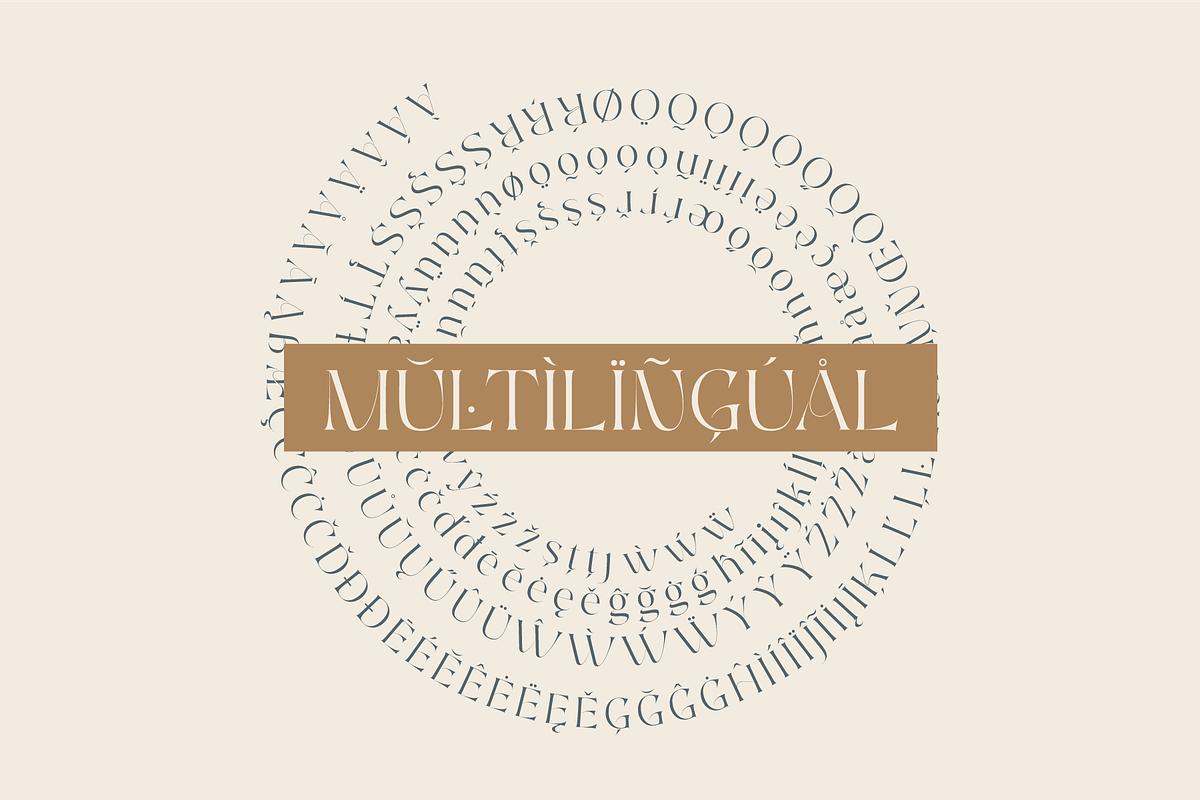 Aelyn - Ligature Serif Font, a Serif Font by Surplus Type Co (Photo 7 of 12)