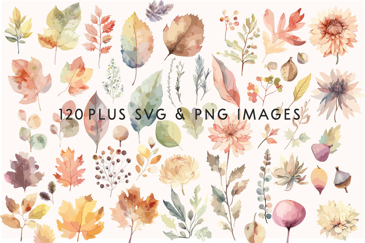Autumn Flowers Watercolor SVG Images, a Seasonal Illustration by Image Design (Photo 3 of 4)
