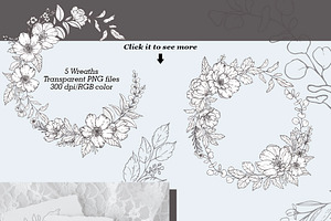 Modern Floral Graphic Collection