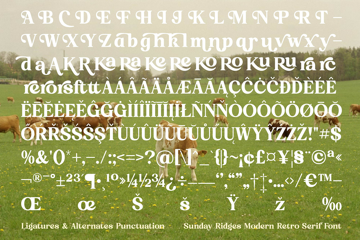 Sunday Ridges Retro Serif Font, a Serif Font by timelesstype.co (Photo 19 of 20)