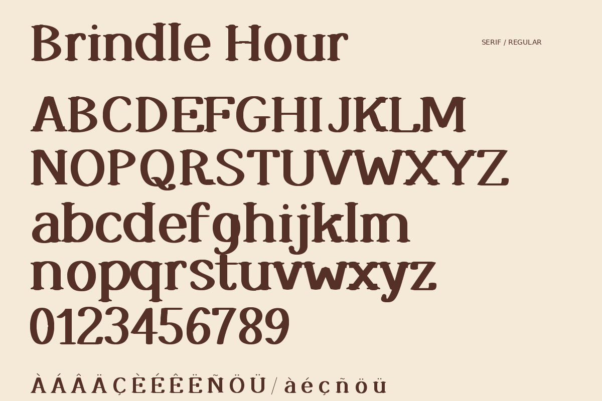 Brindle Hour — Warm Retro Serif, a Serif Font by Colorsfav (Photo 7 of 11)