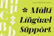 CS Agnes – Serif Font, a Serif Font by Craft Supply Co. (Thumbnail 5 of 8)