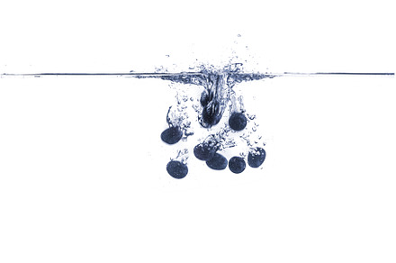 some blue graope berries isolated
