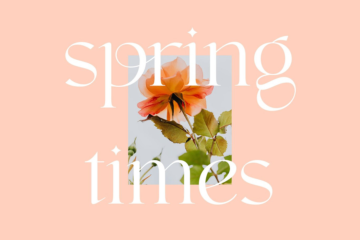 Calisba - Luxurious Ligature Display, a Serif Font by Luna Shop (Photo 7 of 9)