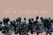 Campston Font, a Handwritten Font by SophieSaxo (Thumbnail 2 of 7)