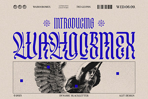 Wahoobomex Dynamic Blackletter, a Blackletter Font by alit design